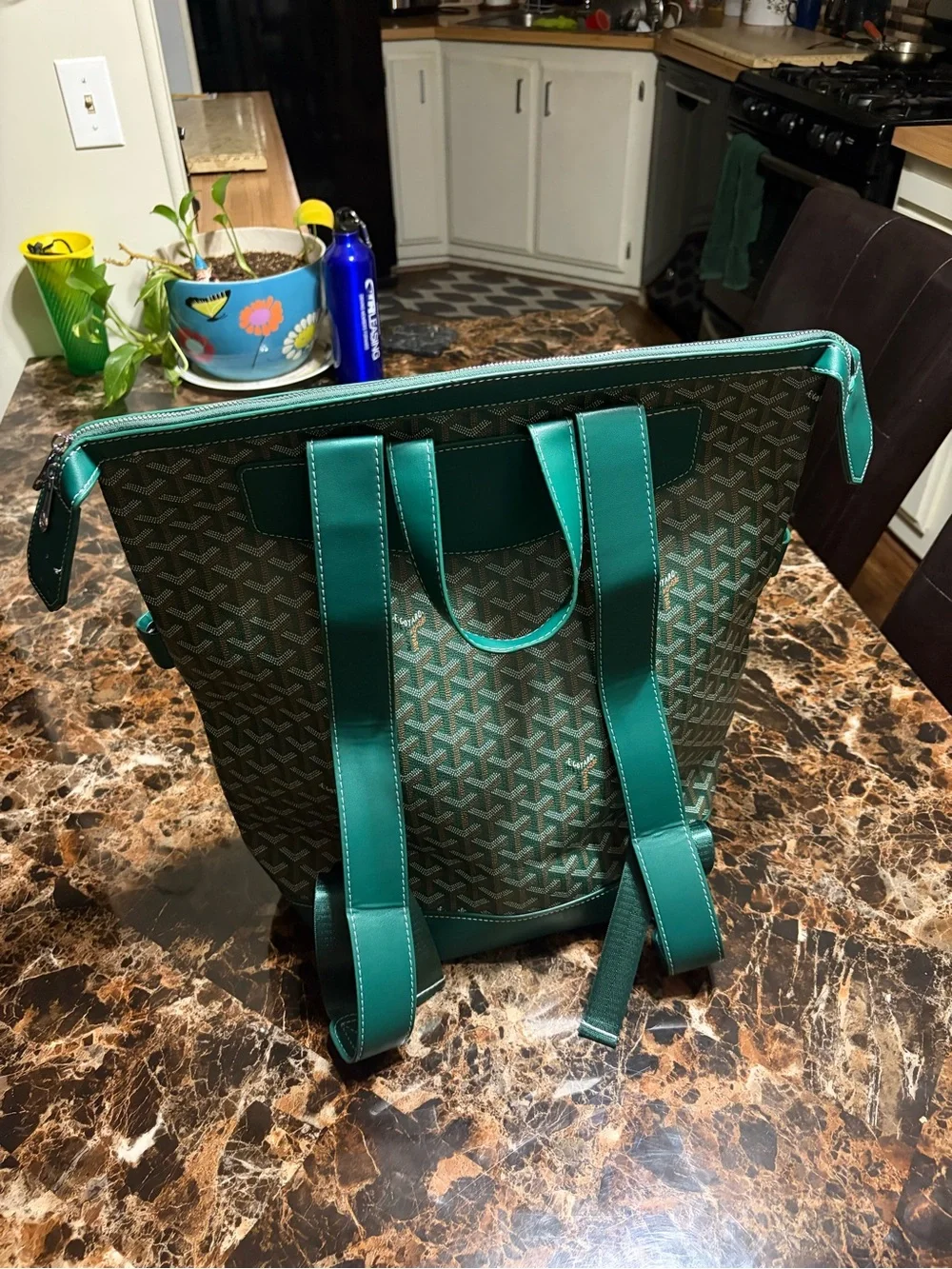Goyard Green Leather Backpack Tote